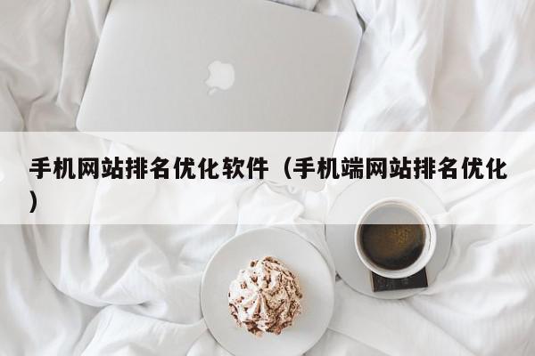 手机网站排名优化软件（手机端网站排名优化）