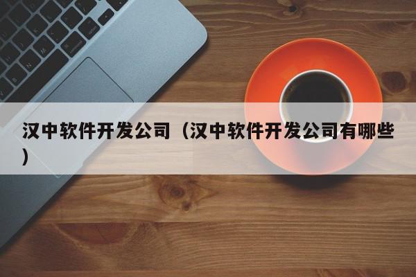 汉中软件开发公司（汉中软件开发公司有哪些）