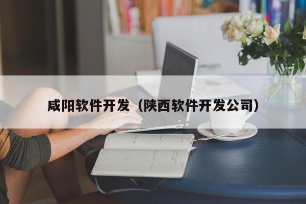 咸阳软件开发（陕西软件开发公司）