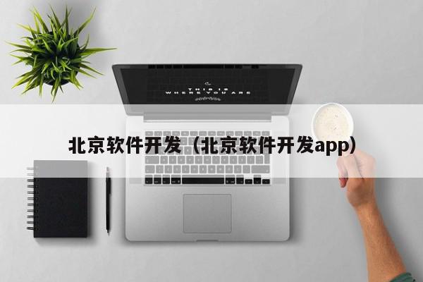 北京软件开发（北京软件开发app）