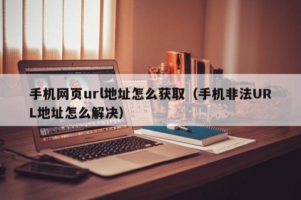 手机网页url地址怎么获取（手机非法URL地址怎么解决）